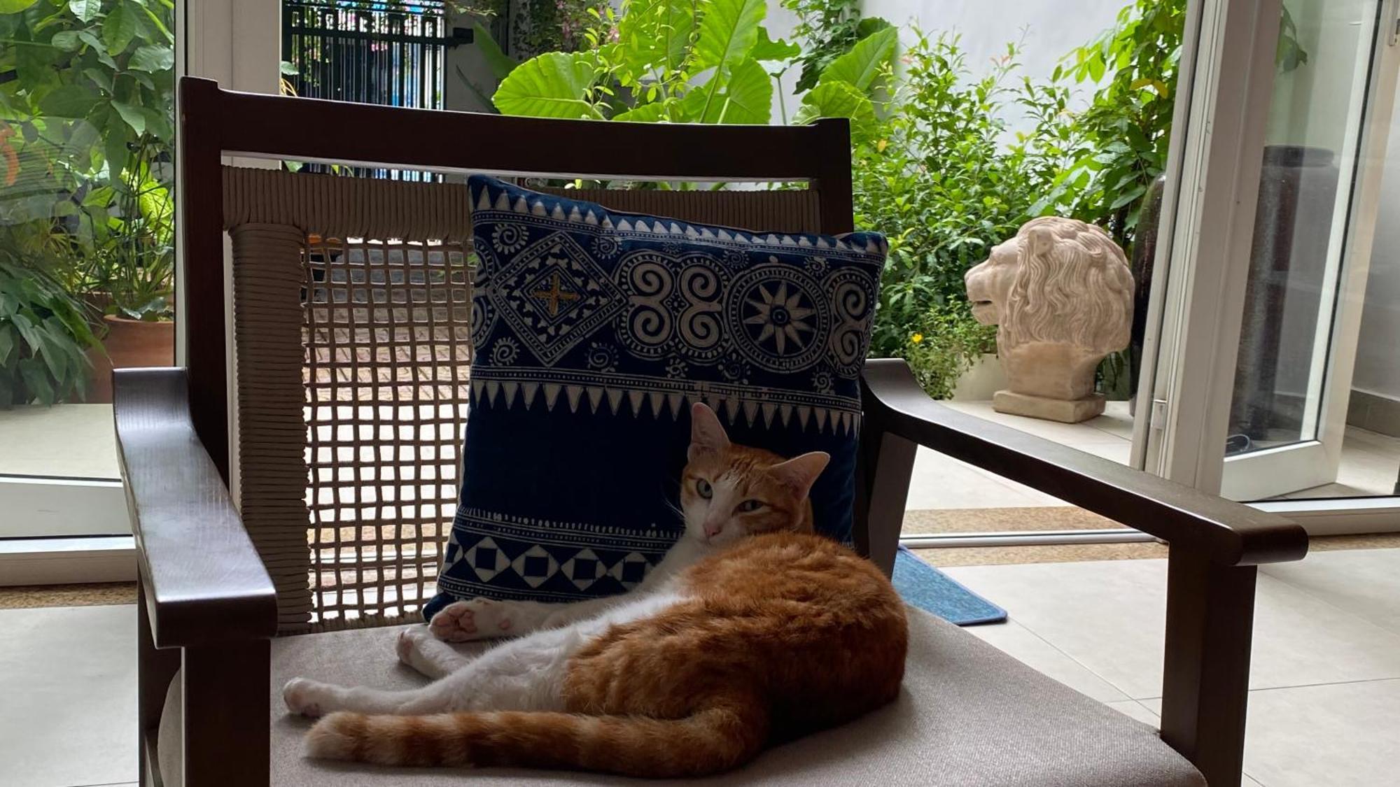 Notre Maison 5 - 63a Nguyen Cu, Thao Dien Ở trọ TP. Hồ Chí Minh
