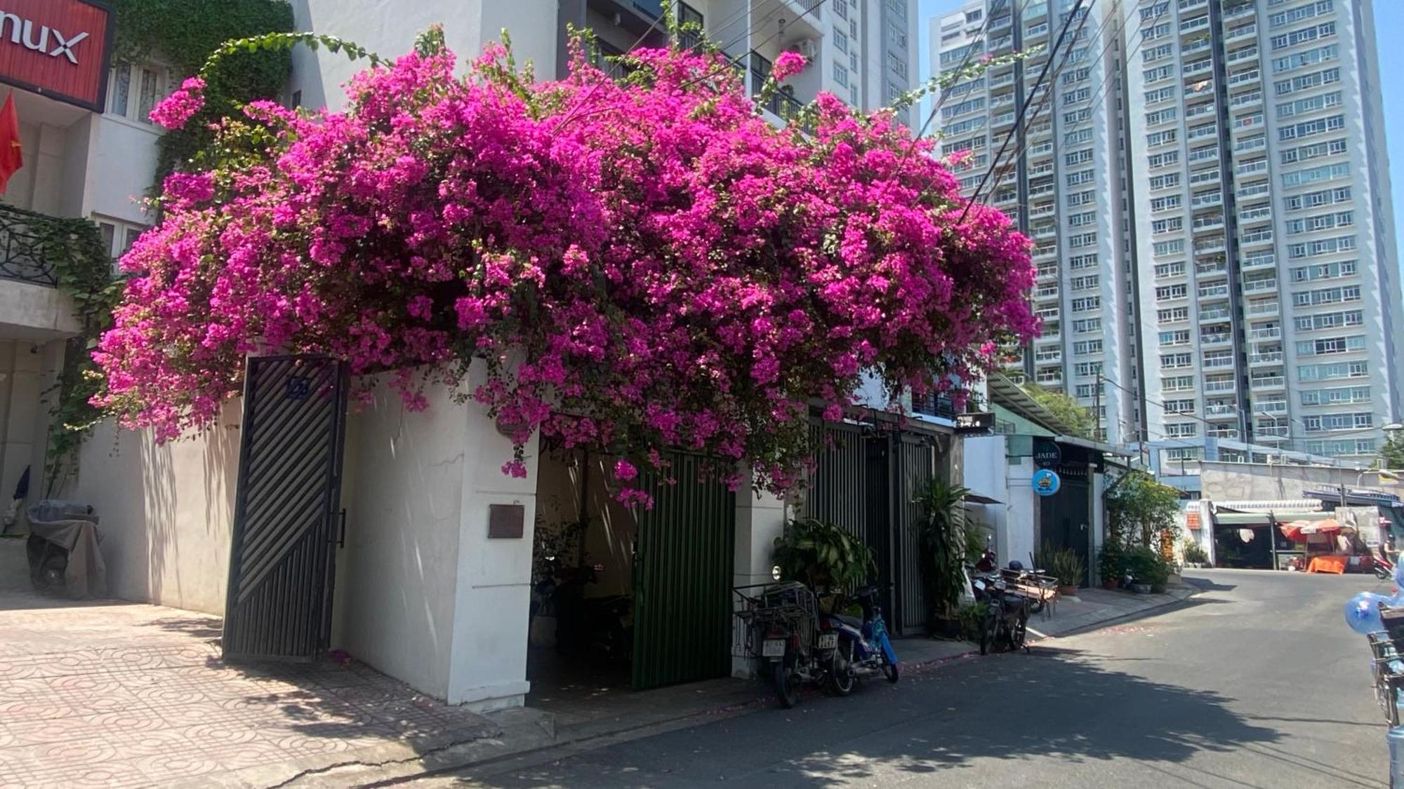 Notre Maison 5 - 63a Nguyen Cu, Thao Dien Ở trọ TP. Hồ Chí Minh
